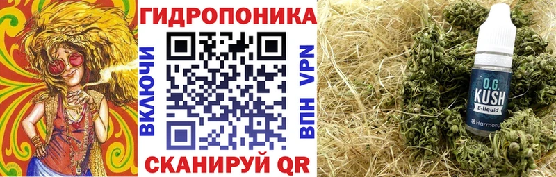 Купить закладку Гашиш  Конопля  Псилоцибиновые грибы  Меф мяу мяу  КОКАИН  Новокубанск