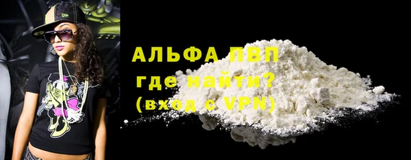 дживик Гусев
