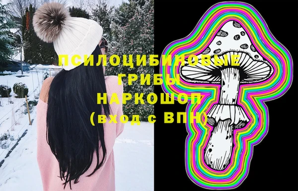 прущая мука Гусиноозёрск