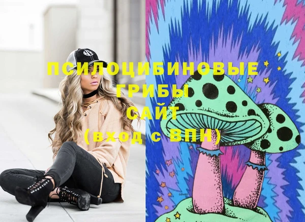 тгк Гусь-Хрустальный