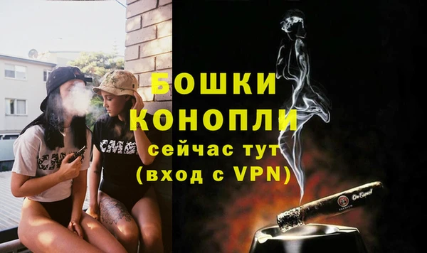 тгк Гусь-Хрустальный